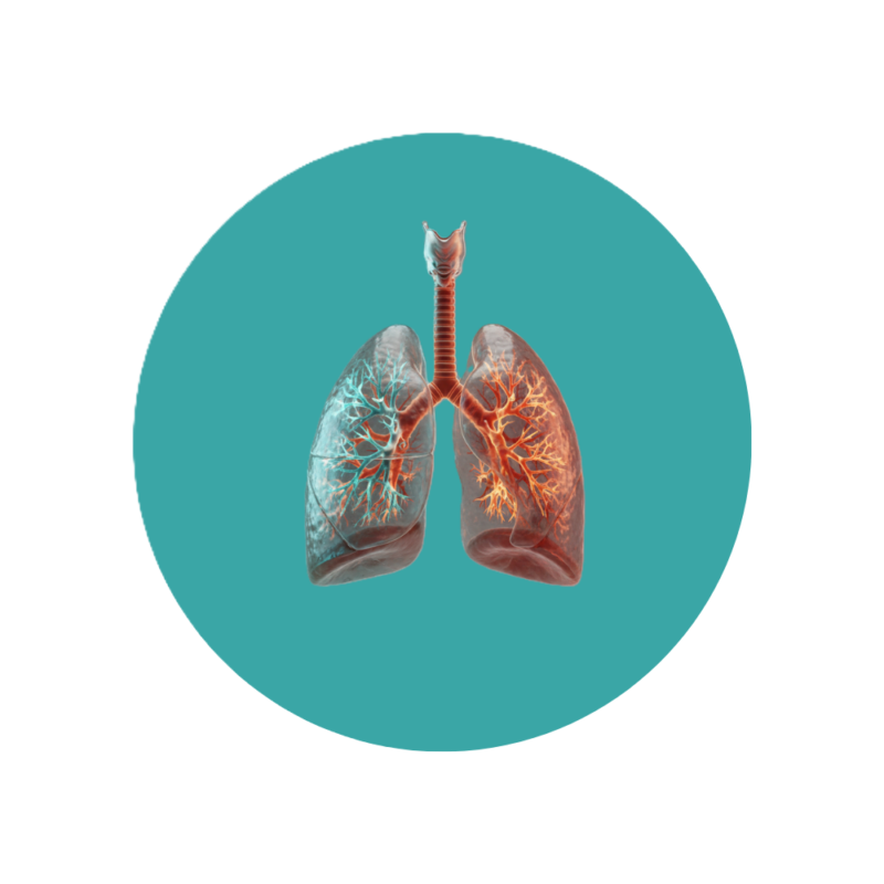 3 1 3 1 Home Medical 1 Accuras Diagnostic