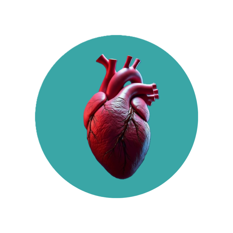 4 1 4 1 Home Medical 1 Accuras Diagnostic