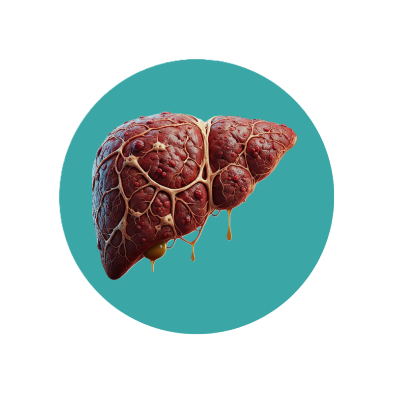 5 1 5 1 Home Medical 1 Accuras Diagnostic